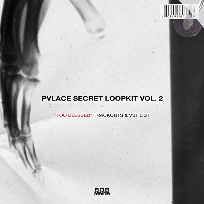 PVLACE Secret Loopkit Vol.2 TOO BLESSED Trackouts VST LIST