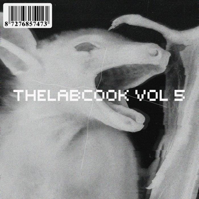 Thelabcook Drum Kit Vol. 5