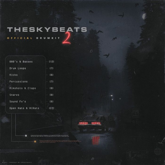 theskybeats THESKYBEATS OFFICIAL DRUMKIT 2
