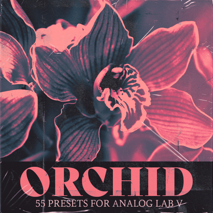 Jukebox Juice Orchid Analog Lab Soundbank