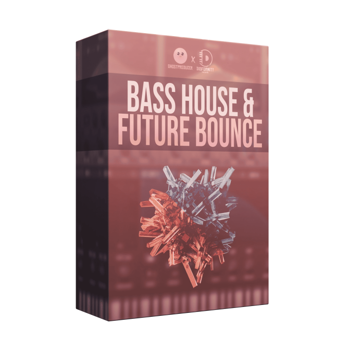 Disformity Bass House Future Bounce