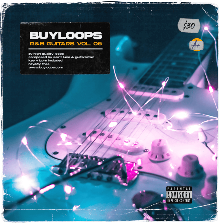 BUYLOOPS RB Guitars Vol. 05