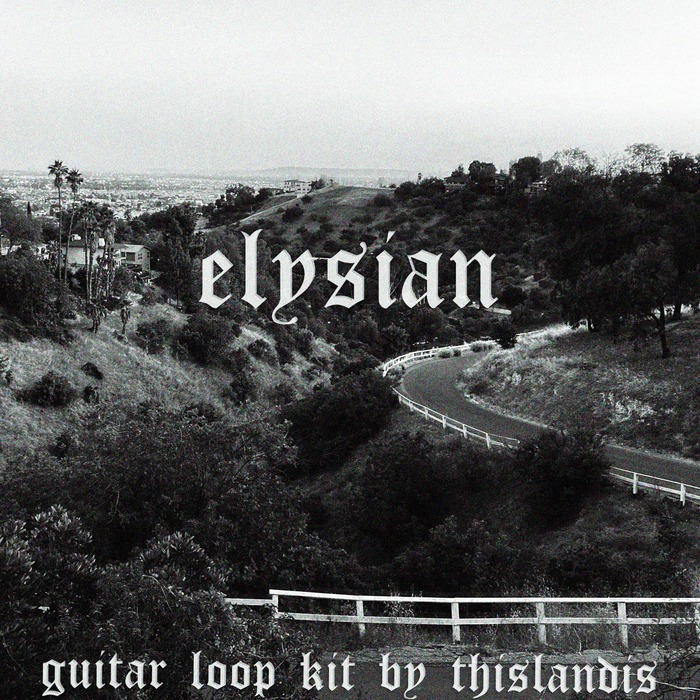 Landis Elysian Guitar Loop Kit